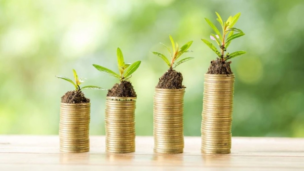 5 Investasi Jangka Pendek Aman Menguntungkan Untuk Pemula Tahun 2026