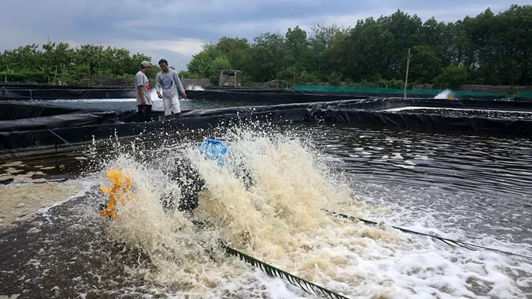 Optimisme Pemkot Pasuruan Tingkatkan Perikanan Tangkap 2 Persen di 2026