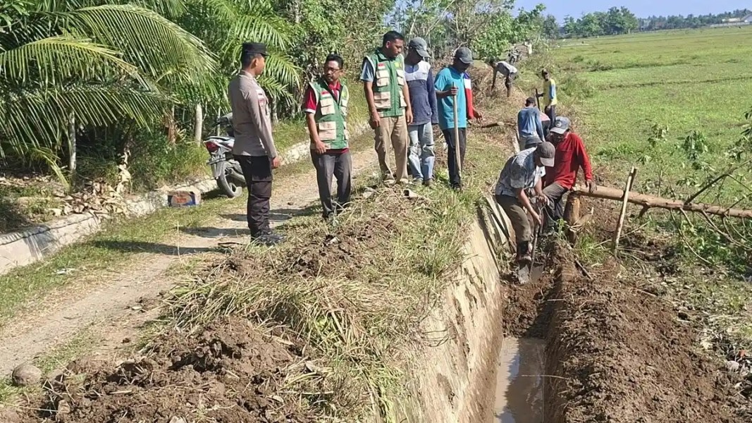 Kebangkitan Pertanian Peudada: Ratusan Petani Bergotong Royong Sambut Berfungsinya Pompa Air