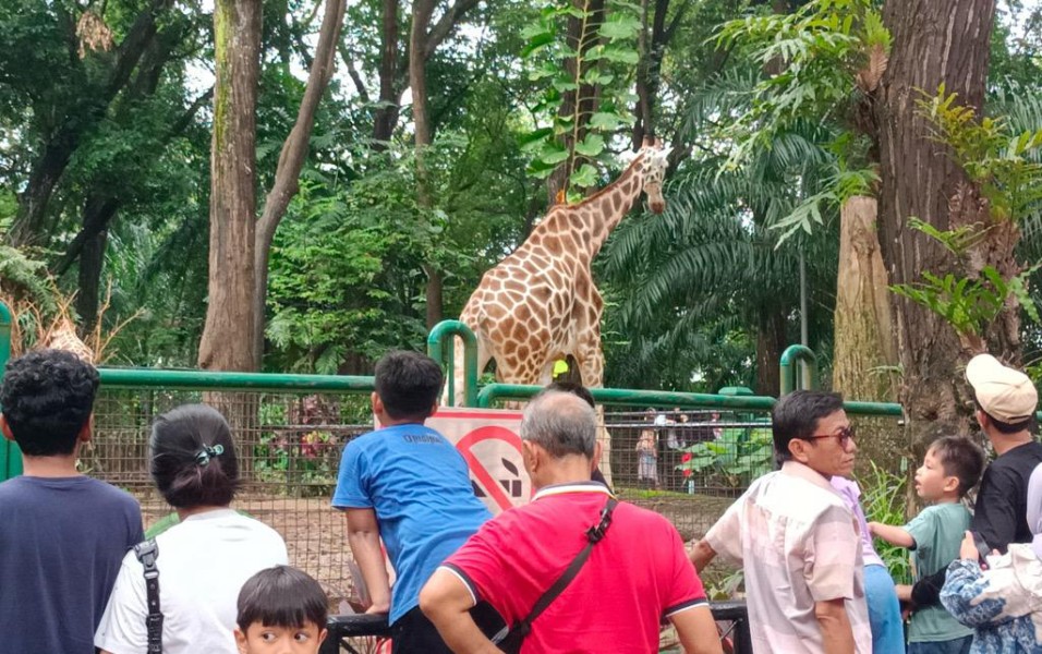 Libur Paskah Pengunjung Taman Margasatwa Ragunan Tembus 100 Ribu Orang