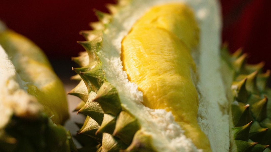 Makanan yang Perlu Dihindari Saat Menikmati Durian Agar Tetap Aman