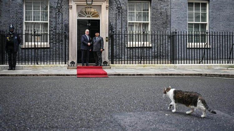 Kunjungan Prabowo ke Kantor PM Inggris Dihiasi Pertemuan Dengan Larry the Cat