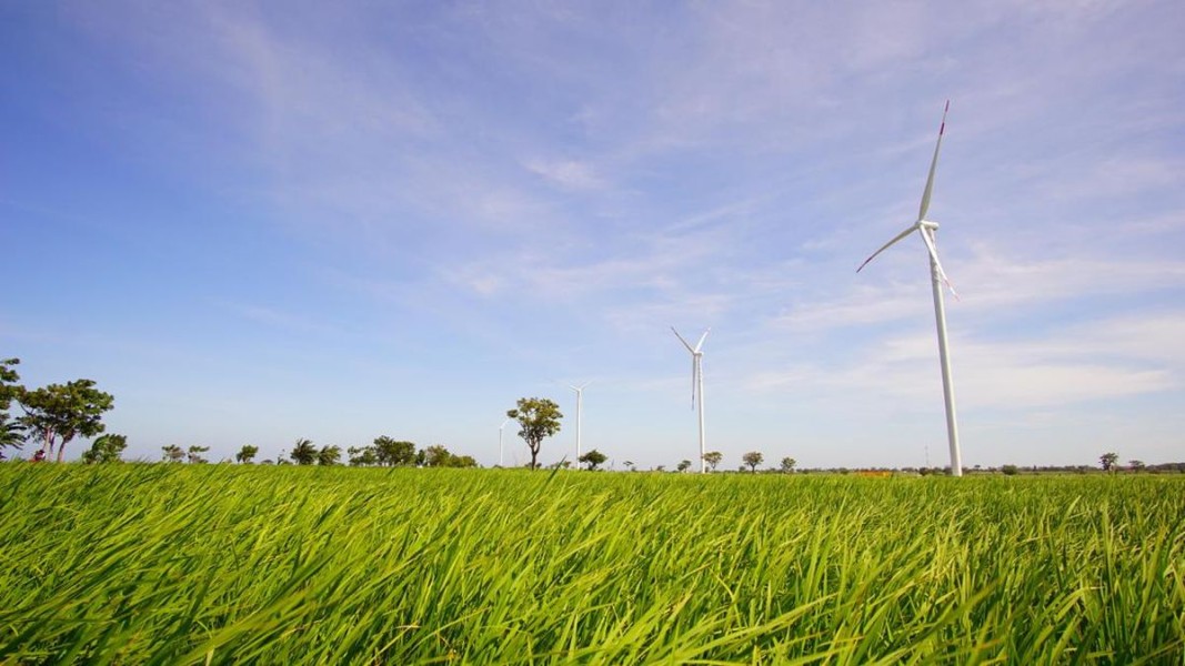 Blora Siap Kembangkan PLTB dan Energi Terbarukan Skala Besar