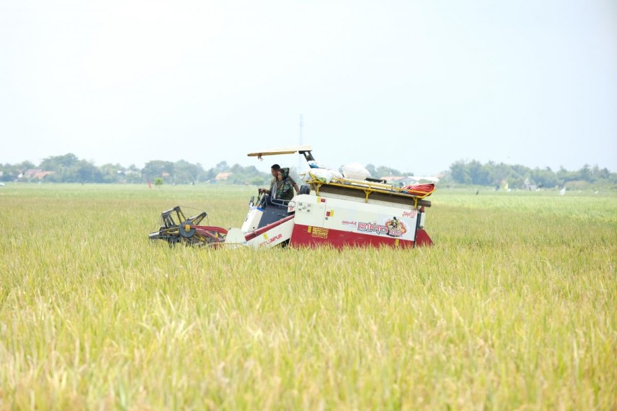 Bulog Serap Gabah Petani dengan Harga Rp 6.500 per Kg, Jamin Stok dan Harga Pangan Nasional Stabil