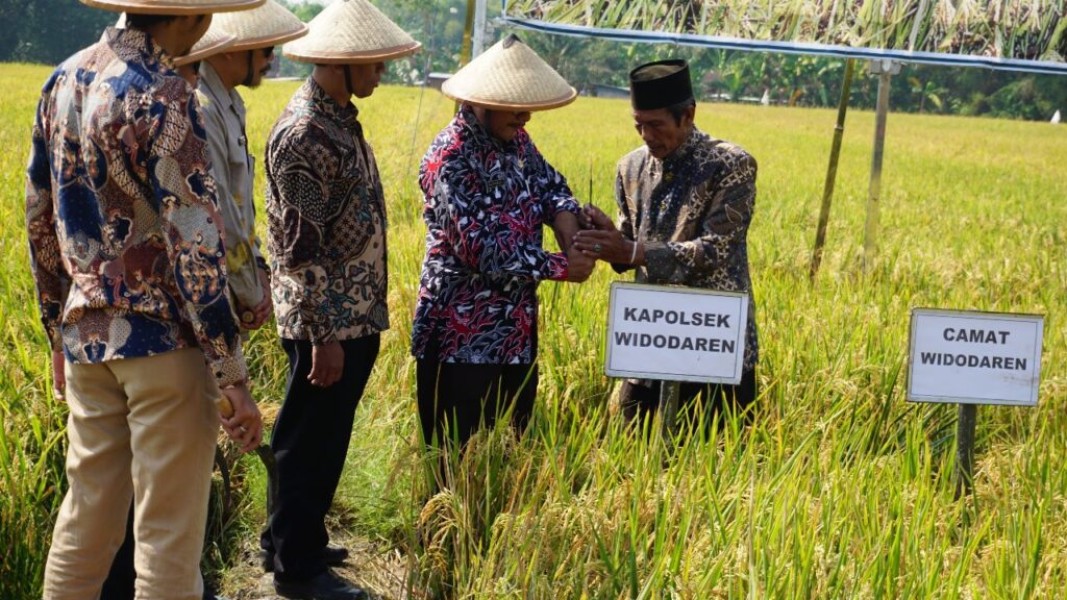 Petani Ngawi Raih Peluang Kemitraan Menguntungkan