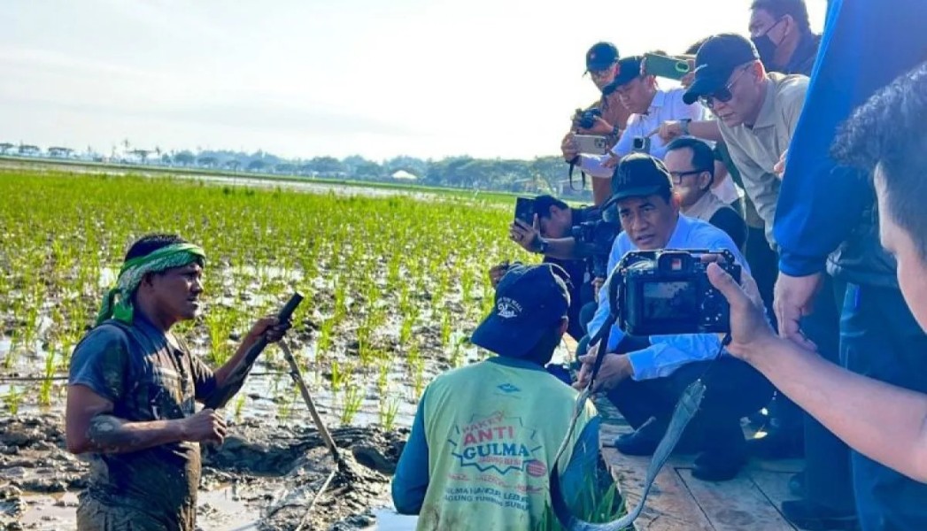 Mentan Pastikan Pemulihan Sawah Aceh Berjalan Cepat dan Tepat Sasaran