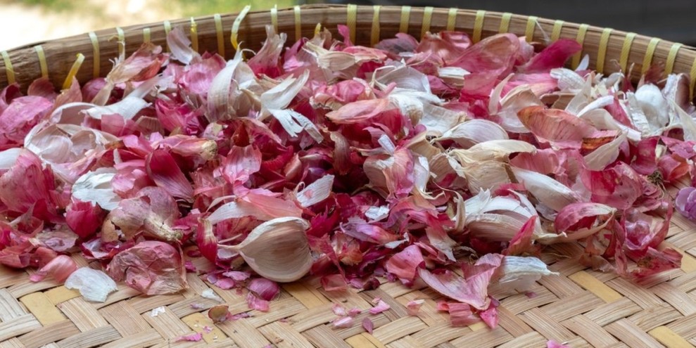 3 Manfaat Kulit Bawang Untuk Kesehatan Tubuh Dan Pencernaan
