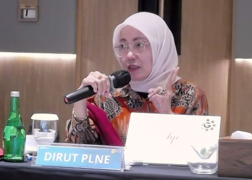 Pentingnya Keterlibatan PLNE dalam Pengawasan Proyek Thermal PLN