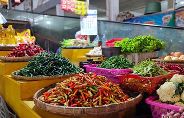 Sistem Perekonomian Indonesia, Sejarah, hingga Fungsinya