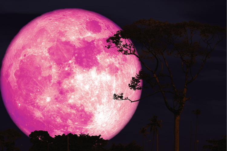 Pink Moon April 2026 Muncul Rabu Malam, BRIN Jelaskan Waktu dan Cara Melihatnya