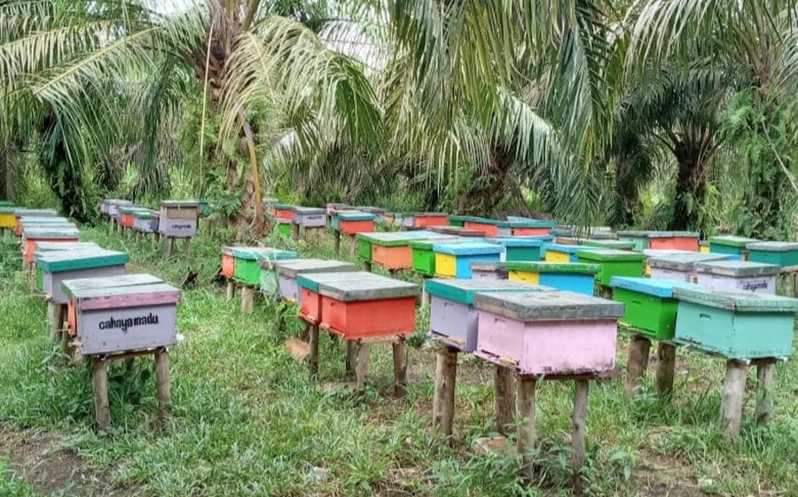 Petani Ajukan Proposal Cepat, Bantuan Pemerintah Makin Lancar
