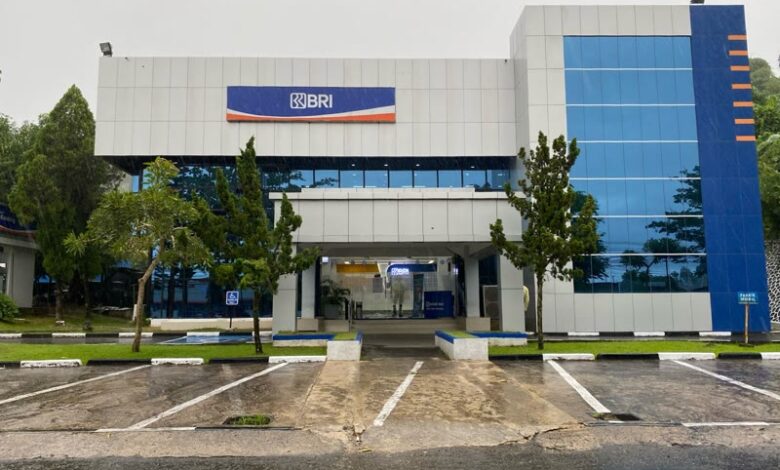 Bank BRI Optimalkan KUR Rp178,08 Triliun Untuk Perkuat Usaha Produktif Nasional