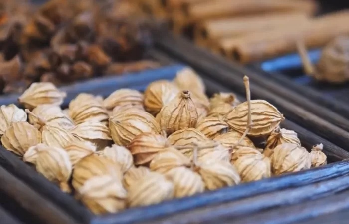 Manfaat Luar Biasa Kapulaga, Rempah Aromatik yang Mendukung Kesehatan Tubuh