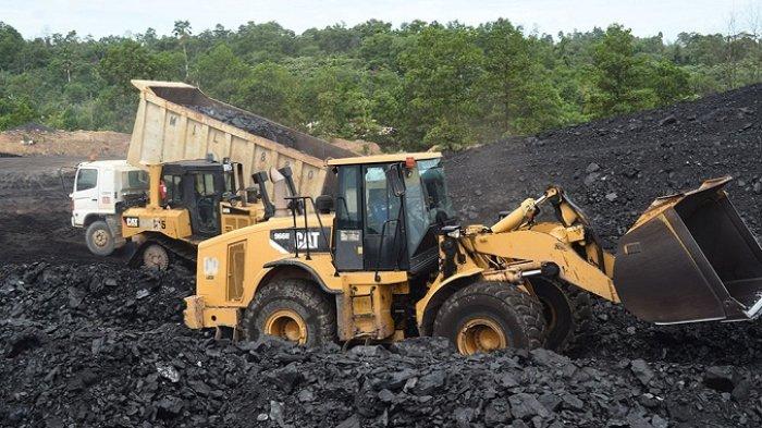 Kenaikan Royalti Tambang Dinilai Bebani Industri, Pelaku Usaha Minta Kebijakan Dikaji Ulang