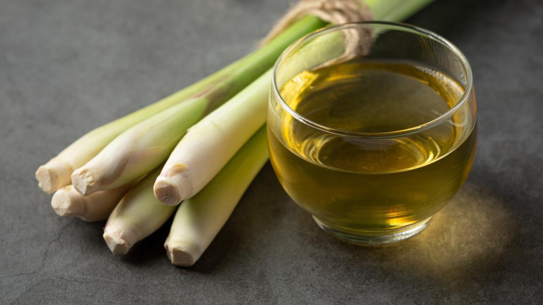 4 Manfaat Air Serai untuk Tubuh Sehat dan Membantu Menjaga Daya Tahan