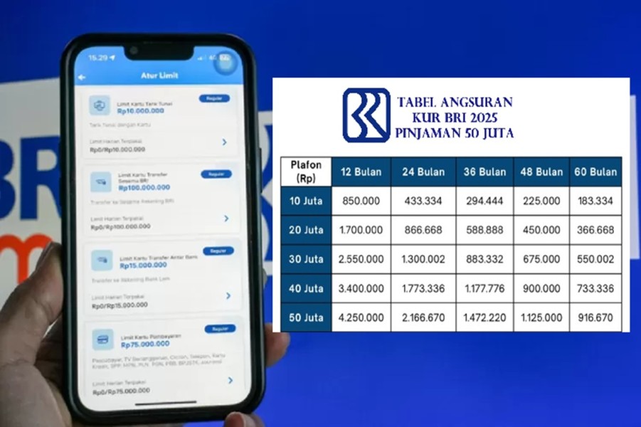 Ajukan KUR BRI Online Kini Semudah Lewat BRImo Saja