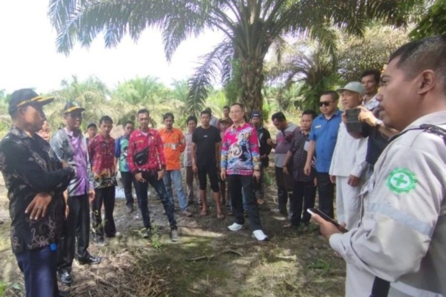 Protes Warga Terhadap PT Bumi Makmur Waskita: Konflik Penggusuran Kebun di Kotawaringin Timur