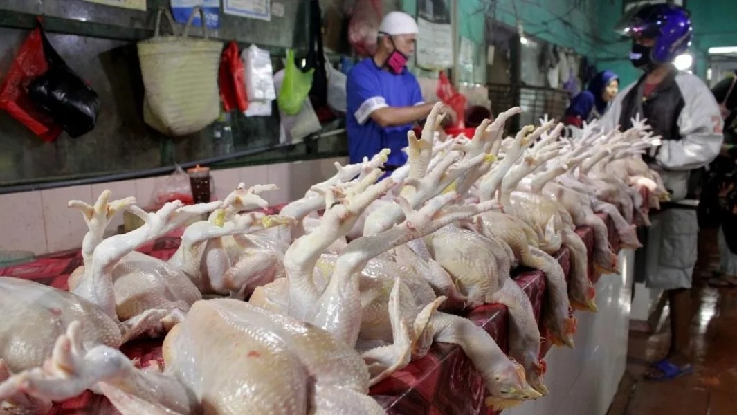 Harga Sembako Jatim Terbaru: Ayam Turun, Daging Naik