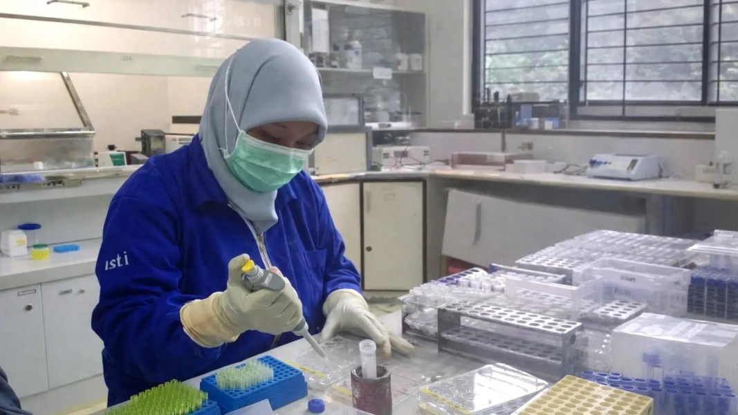 BRIN Teliti Senyawa Kulit Manggis untuk Deteksi dan Terapi Kanker Payudara