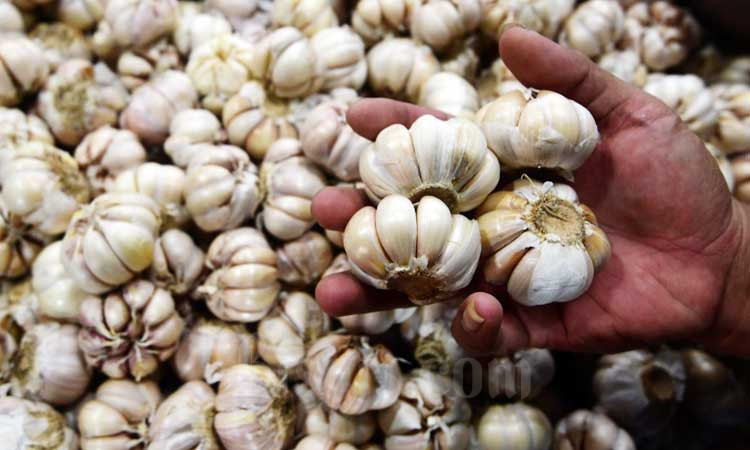 BPS Catat Harga Bawang Putih Terus Naik, Kini Tembus Rp39.810 per Kg