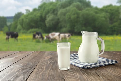 5 Rekomendasi Minuman Tinggi Kalsium untuk Mencegah Tulang Keropos dan Osteoporosis