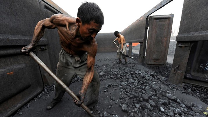 Harga Batu Bara Indonesia Tetap Kompetitif di Tengah Dinamika Global dan Kebijakan HBA Baru