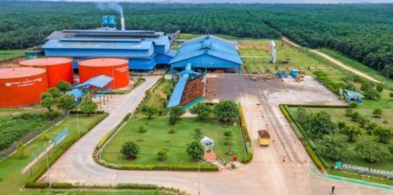 Lonjakan Penjualan dan Laba SSMS 2025 Dipicu Ekspansi Bisnis dan Kinerja Segmen Sawit yang Solid