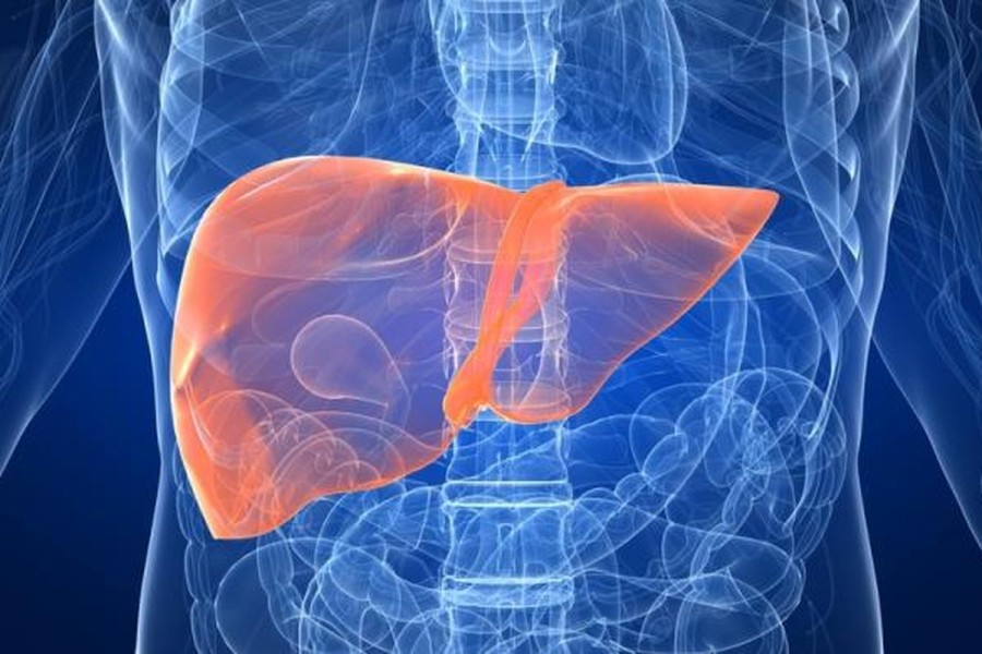 Inovasi AI untuk Deteksi Penyakit Liver Lewat Rontgen Dada