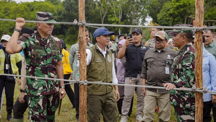 Pembangunan Pagar Way Kambas Tingkatkan Keamanan Satwa Liar