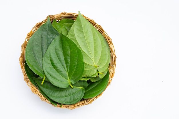 5 Tanaman Herbal Alami yang Bermanfaat Menjaga Kesehatan Mata Anda