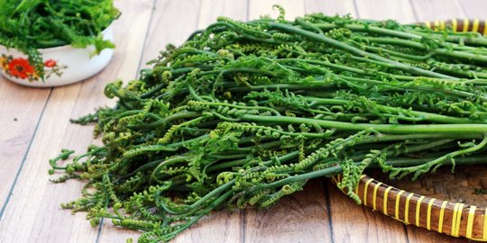 5 Efek Samping Konsumsi Sayur Pakis yang Perlu Diwaspadai