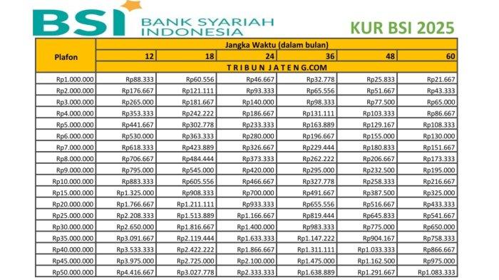 Panduan Lengkap Syarat dan Plafon KUR BSI 2025