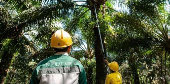 Triputra Agro Persada Dapatkan Kredit Rp300 Miliar CIMB Niaga