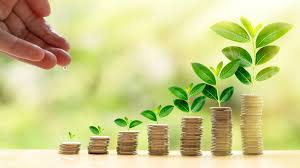 Menavigasi Pilihan Investasi Reksadana di Tengah Ketidakpastian Ekonomi 2025: Panduan Optimal untuk Investor