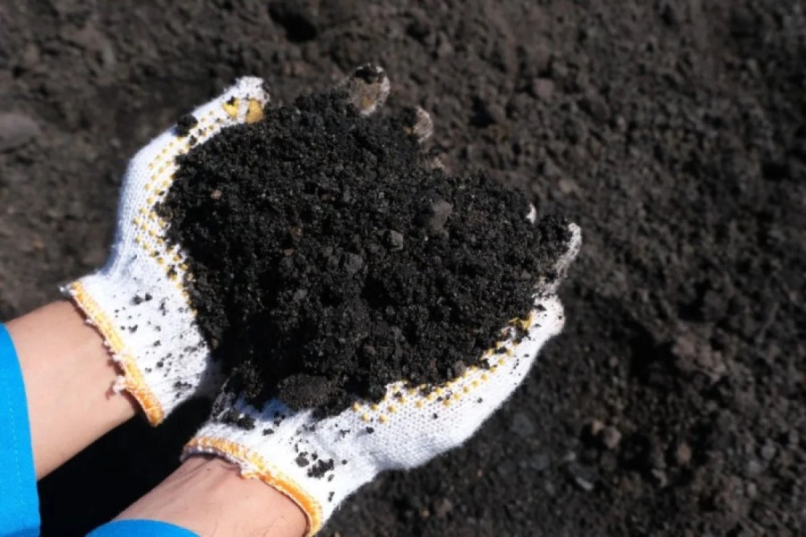 Transformasi Limbah Menjadi Berkah Lewat Pengelolaan Abu Batu Bara Berkelanjutan PLN