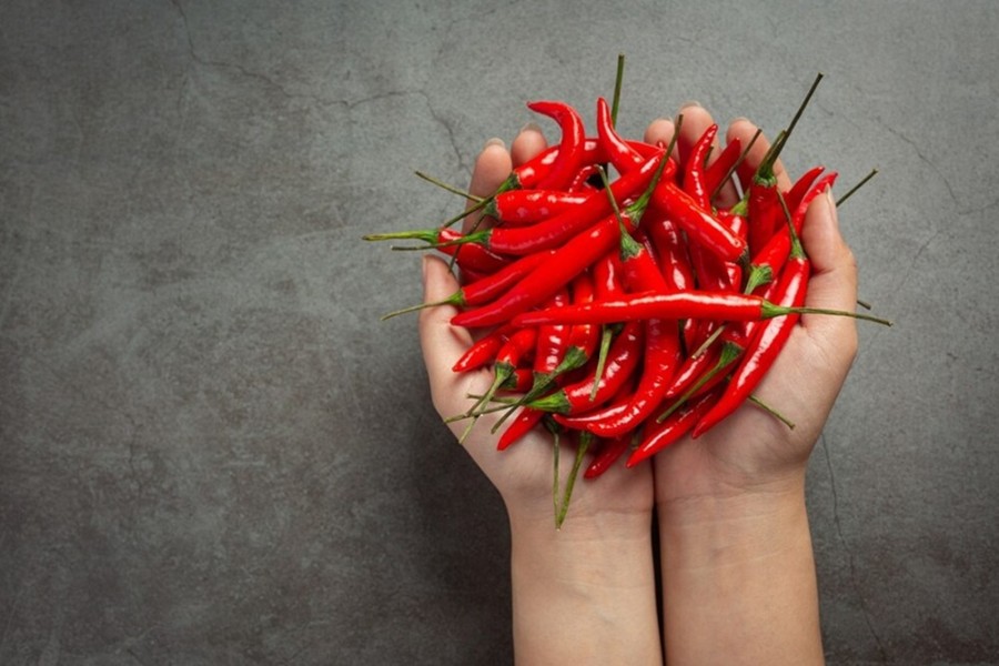 Harga Cabai Rawit Merah dan Stabilitas Pasokan di Pasar Jogja