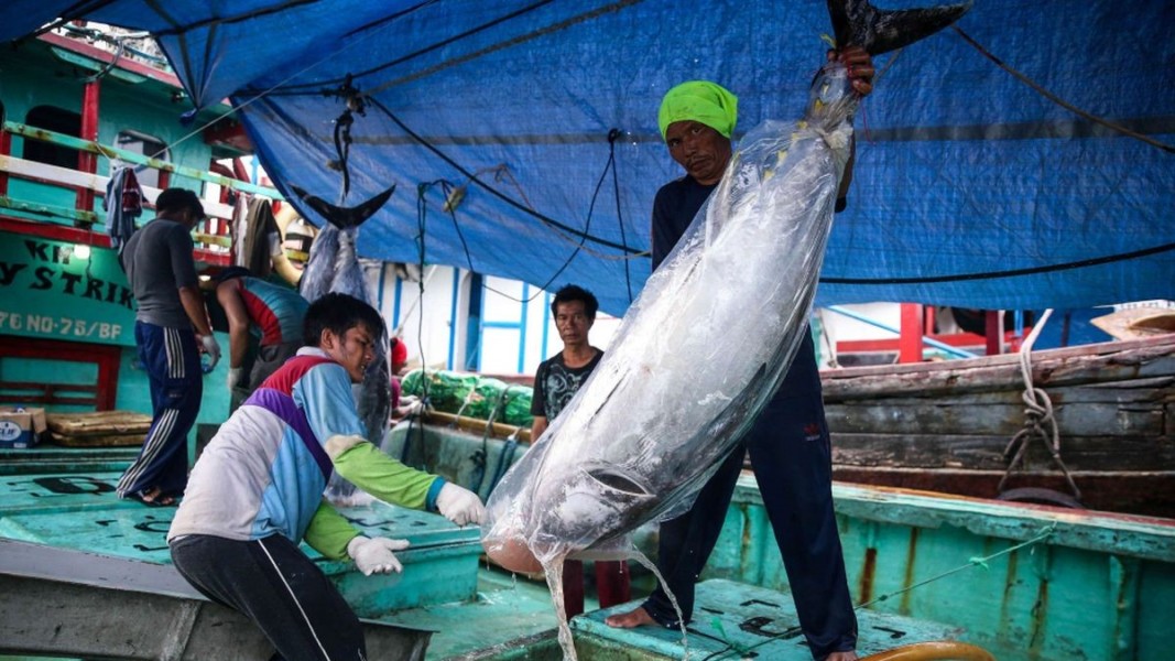 KKP Dorong UMKM Perikanan Naik Kelas, Ekspor Produk Ke Pasar Global