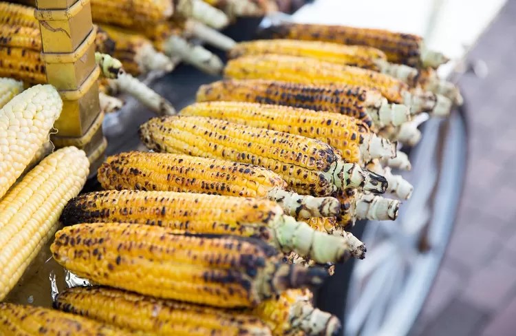 10 Rekomendasi Tempat Jagung Bakar Paling Lezat dan Populer di Yogyakarta