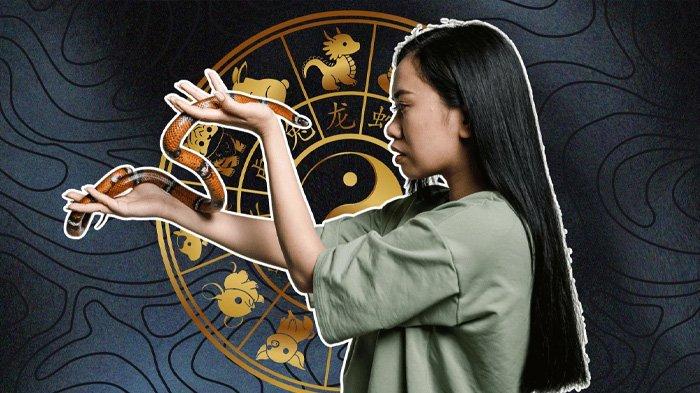 Sabtu 3 Mei 2025 Jadi Hari Penuh Keberuntungan untuk 5 Shio Ini: Energi Monyet Air Bawa Kelimpahan dan Kesuksesan