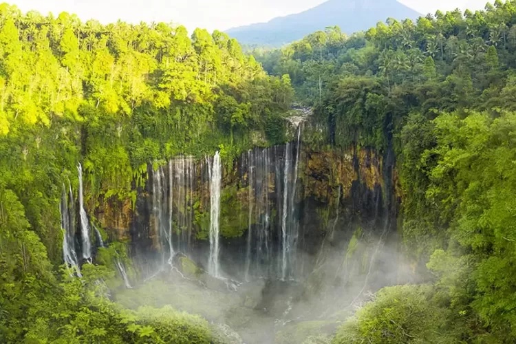 Jawa Timur, Surga Wisata Rasa Internasional