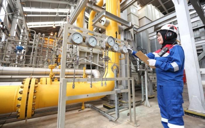 Laba Bersih PGAS Anjlok 48,80 Persen di Kuartal I 2025 Meski Pendapatan Naik Tipis