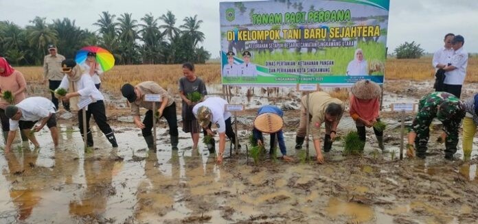 Tanam Padi Perdana Poktan Sejahtera di Singkawang Jadi Pemicu Semangat Petani Menuju Swasembada Pangan