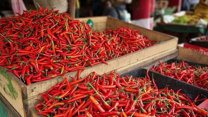 Harga Pangan Nasional Terbaru: Cabai Merah dan Telur Ayam Alami Kenaikan Jelang Akhir Tahun