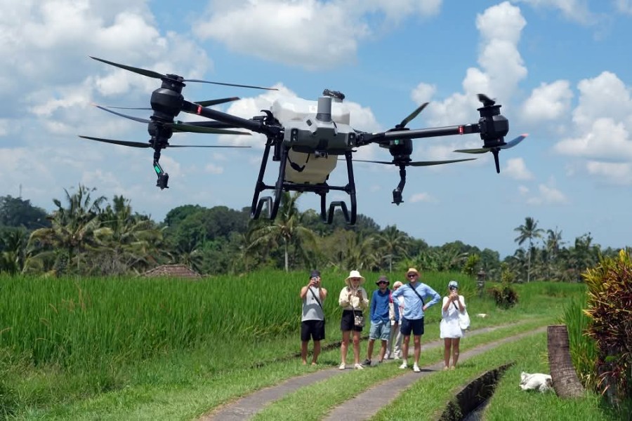 Petani Bali Manfaatkan Drone Tingkatkan Hasil Sawah