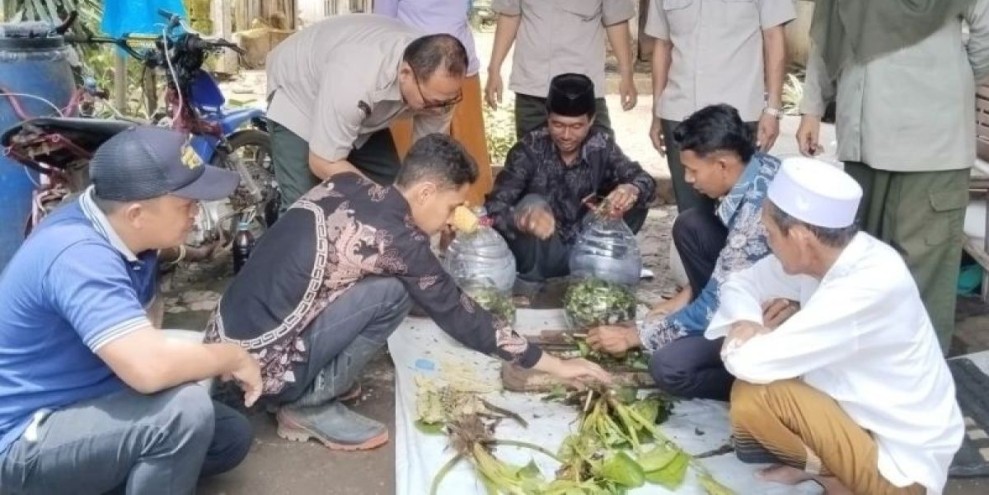 Petani Probolinggo Ubah Eceng Gondok Menjadi Lahan Pertanian Lebih Produktif