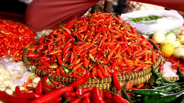 Data PIHPS Nasional: Harga Cabai dan Telur Capai Level Tertinggi Februari 2026