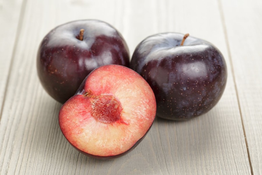 Apa Itu Buah Plum, Karakteristik, Jenis, dan Manfaatnya