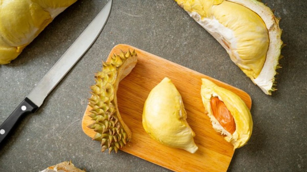 Waspada Efek Susu Berlebih dan Varietas Durian Terbaik