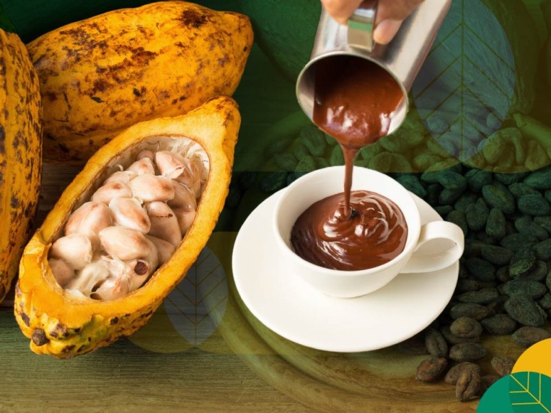 Kemendag Ungkap Harga Biji Kakao Tertekan Peningkatan Produksi Internasional