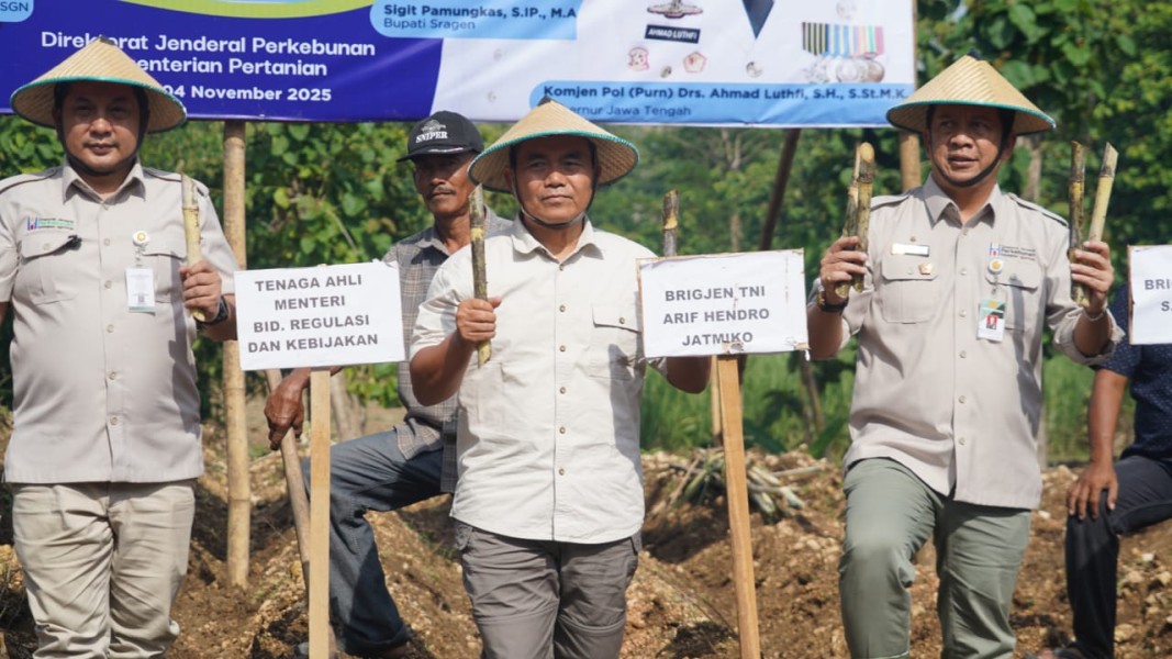 Penguatan Tebu Nasional Dorong Swasembada Gula Dan Energi